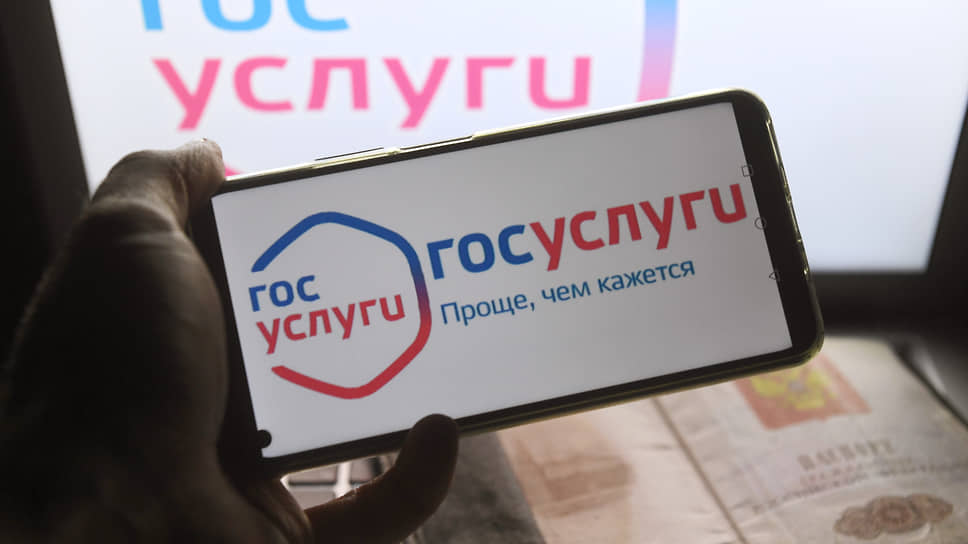 Обжаловать проверки бизнеса в условиях моратория можно на сайте Госуслуг